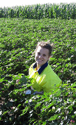 Katherine Polain working in the field