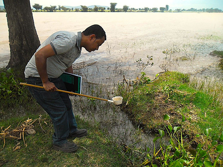 Solomon Birhanie in the field