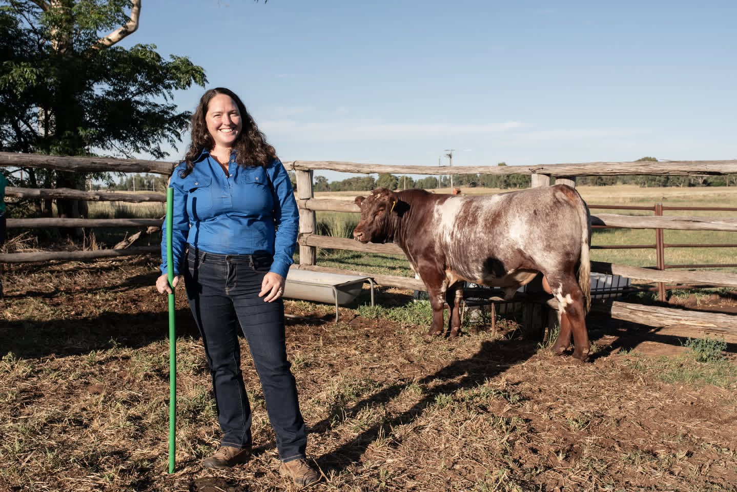 Woman in a blue work shirt and dark jeans standing in a cattle yard holding a green pole, smiling at the camera, with a brown and white cow beside a wooden fence and open paddocks in the background under a clear blue sky.