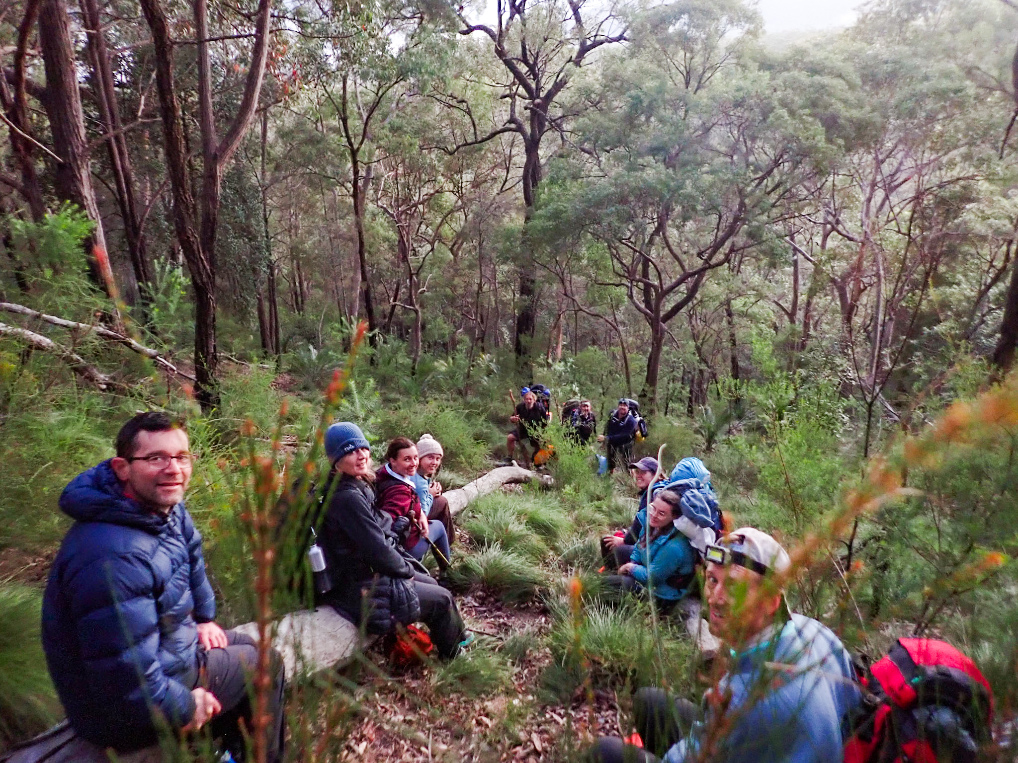 A group of hikers sits along a steep bush track among tall trees, resting with backpacks during a trek.