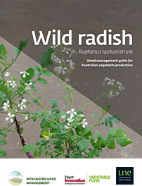 Front cover of 'Wild radish (Raphanus raphanistrum) weed management guide for Australian vegetable production