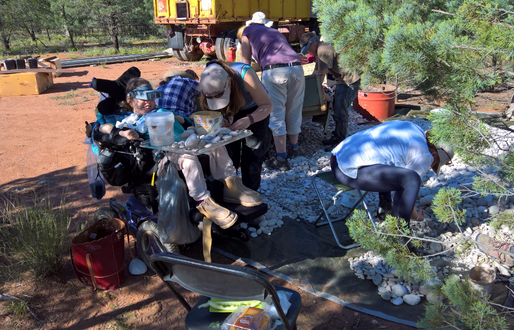 A group of researchers at work on a sandy dig site. They are bent over small samples on tables and on the ground. One woman is in a wheelchair and wears a pair of magnifying goggles, with samples on the table in front of her.