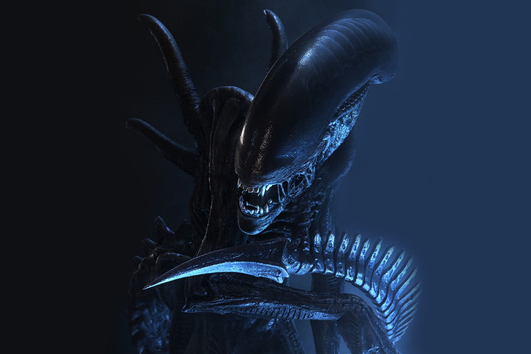 An image of the Xenomorph from the 1979 science fiction film Alien.