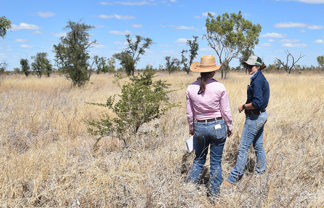 Collecting soil samples across the properties within the Victoria River District looking to plant tropical legumes over the 23-24 summer monsoon period as part of the project.