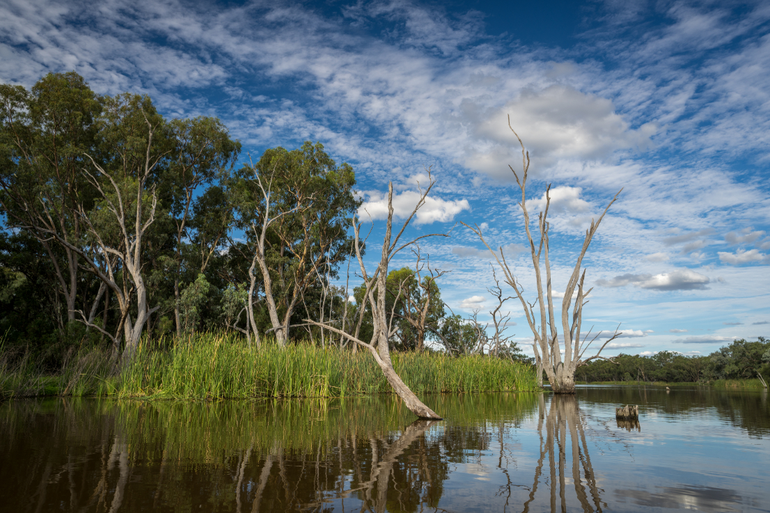 Gingham waterhole in the Gwydir Wetlands