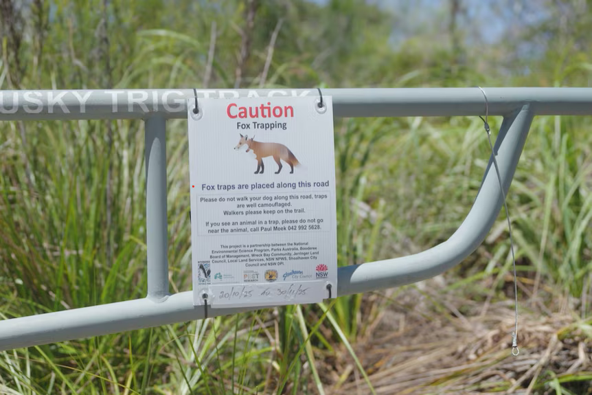 Fox camera trap sign at Booderee National Park