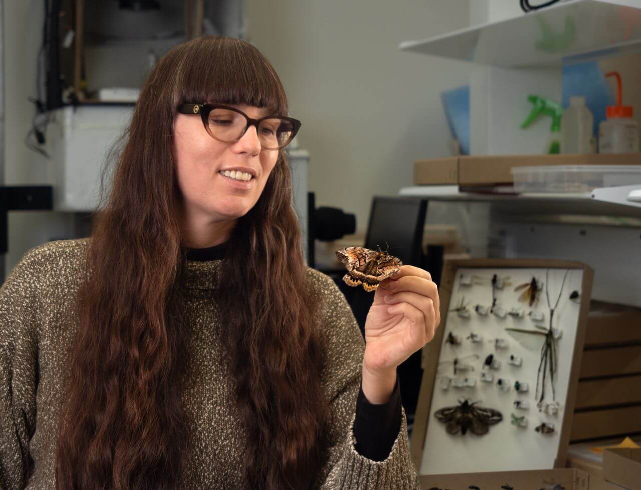Woman looking at butterfly