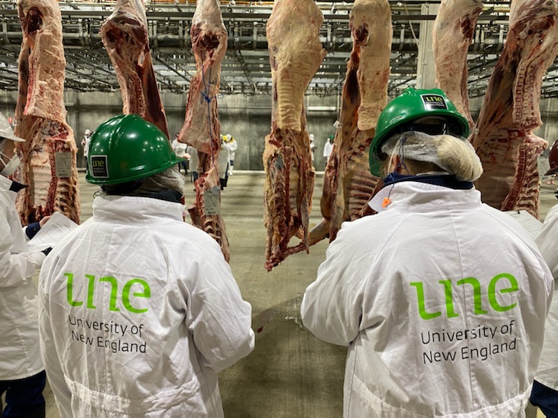 UNE meat judges shine at ICMJ National Competition University of New