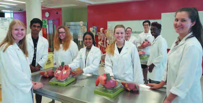 An image of a group of students wearing lab coats smiling as they stand around a table set with models of organs. 