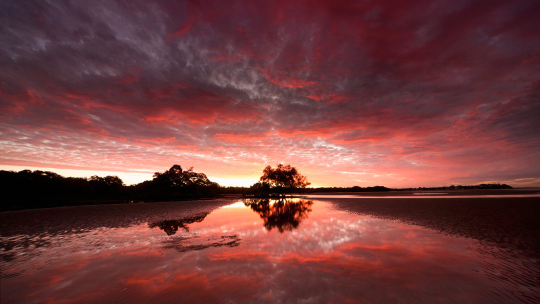 Image of an Australian wetland at sunset