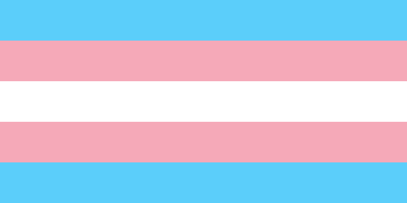 Transgender flag with blue and pink horizontal lines on both sides of a white horizontal line