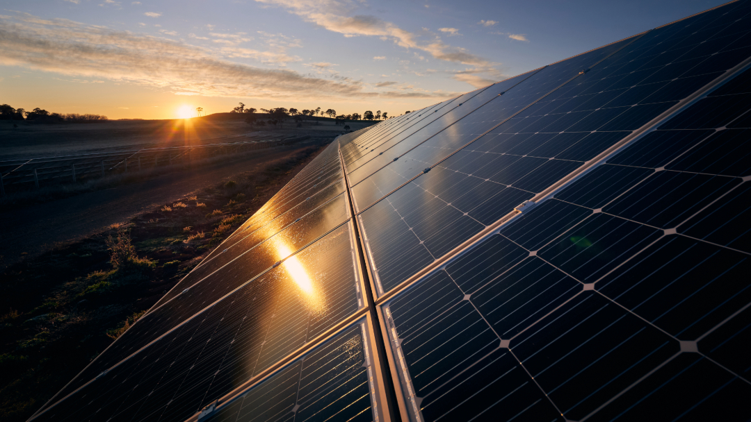 Solar farm