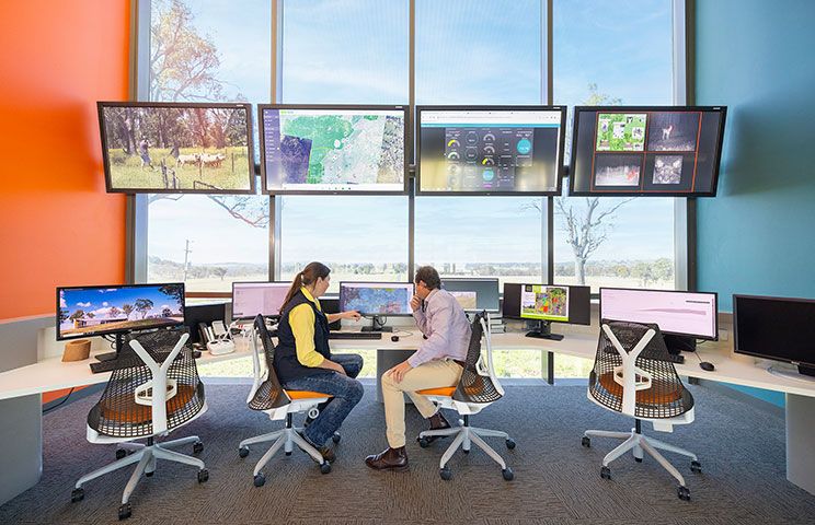 Two researchers collaborating at UNE's modern SMART Farm facility with multiple computer monitors displaying data visualisations, large windows providing natural light