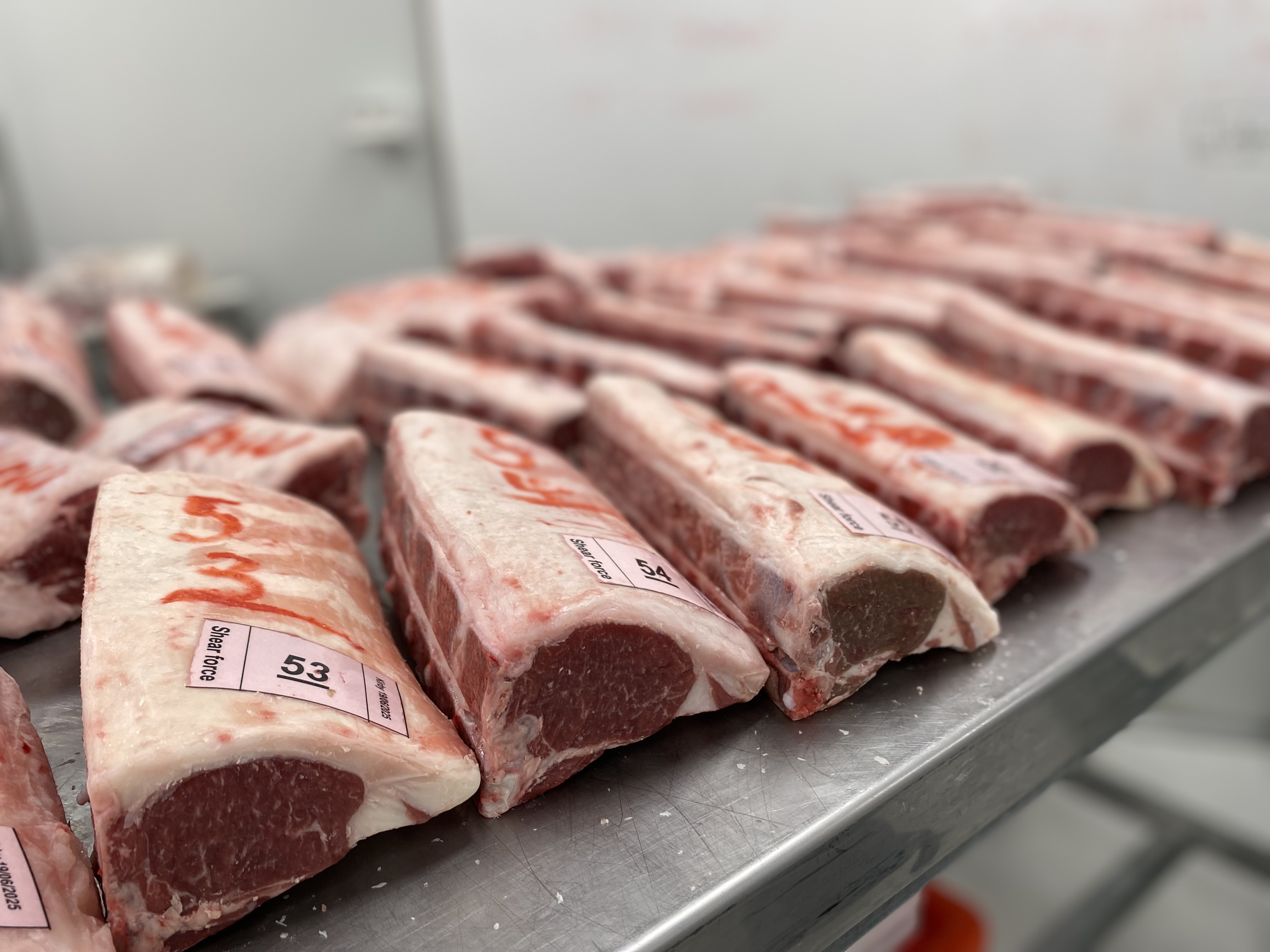 Meat