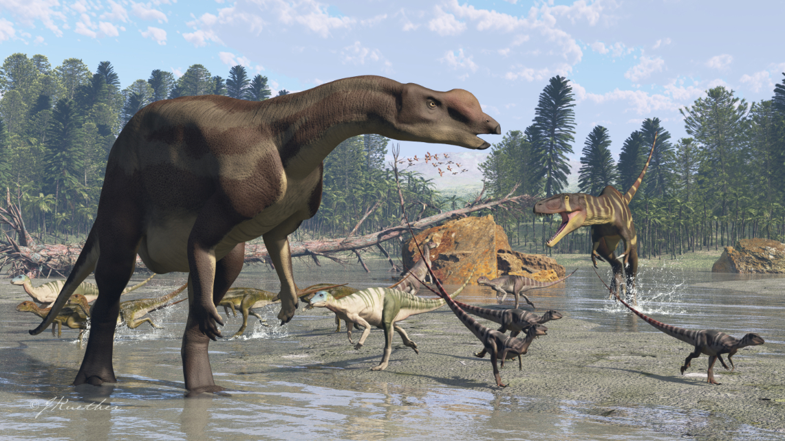 Muttaburrasaurus langdoni in Queensland, Australia, around 96 million years ago.