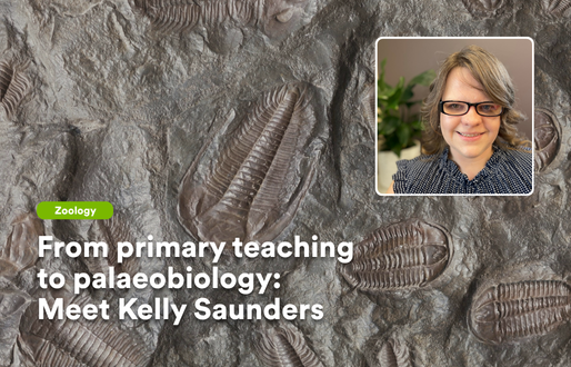 Kelly Saunders