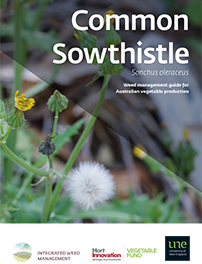 Front cover of 'Common sowthistle (Sonchus oleraceus) weed management guide for Australian vegetable production