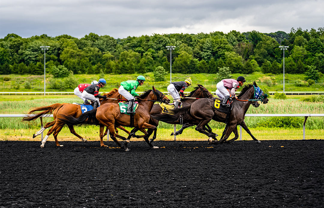 Four thoroughbred horses and jockeys competing in a race.
