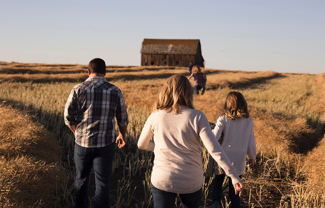 Family walking through a paddock