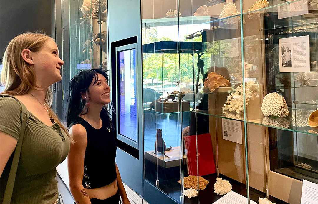 Image shows two UNE Zoology students looking at the new exhibition now on display at the UNE Natural History Museum.