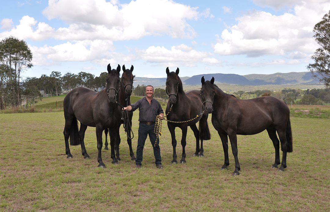 Professor Paul McGreevy in a paddock holding four horses.
