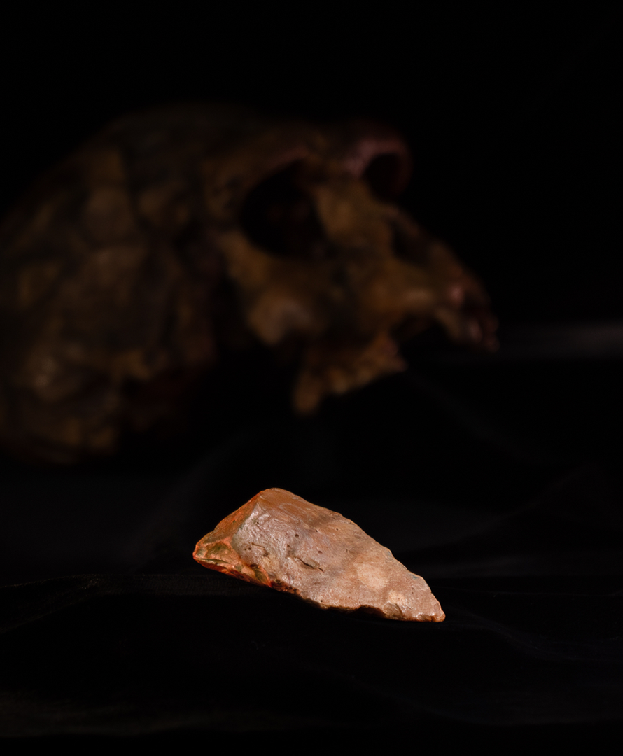 One of the stone tools found at the Calio site in Sulawesi that have expanded understanding of hominin dispersal off the Asian mainland.