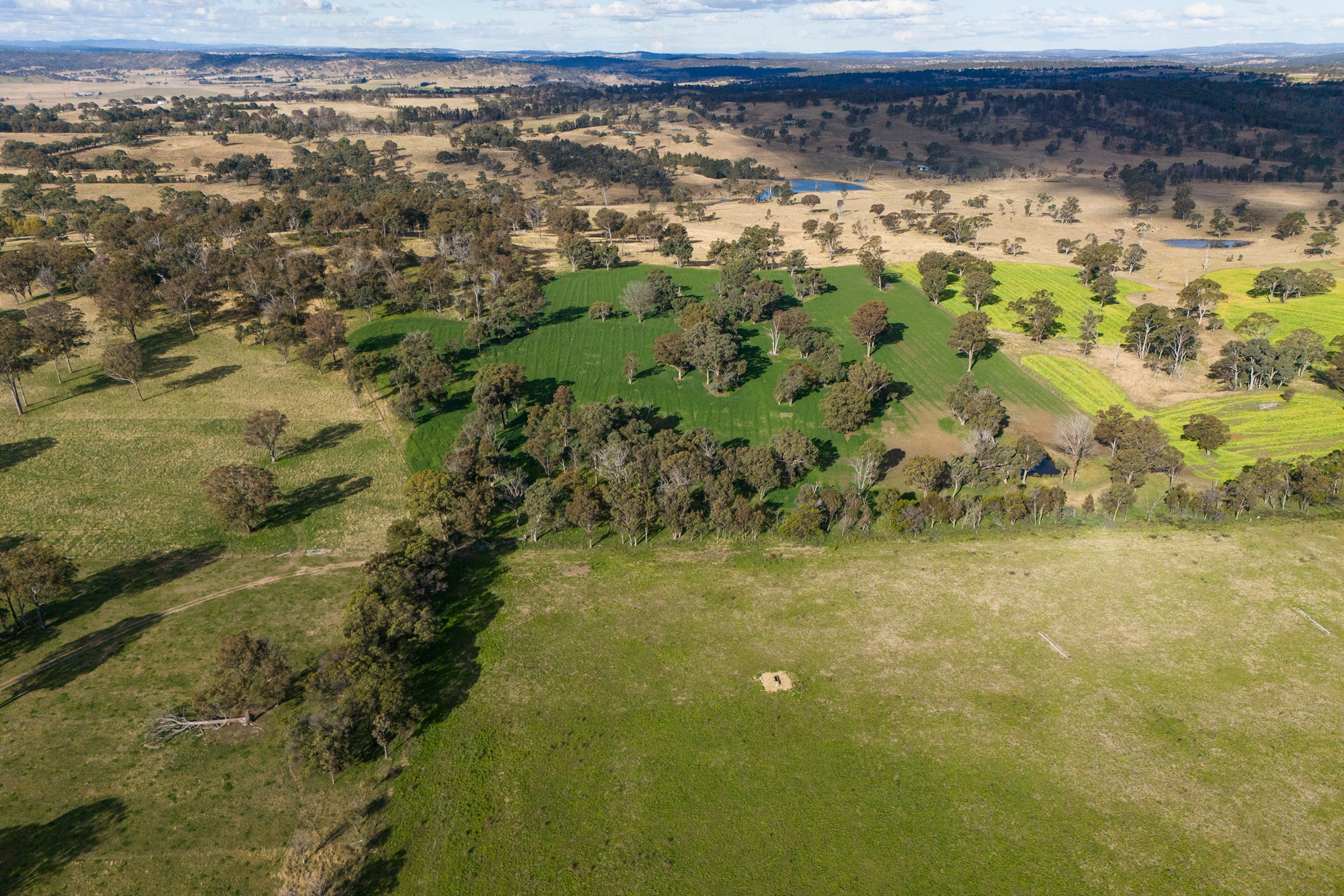 Aerial view of the Armidale Campus farmland