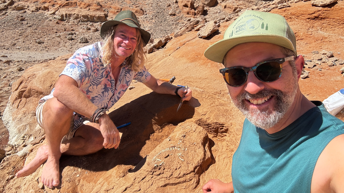 Associate Professors Phil Bell and Nic Campione next to a cretaceous mammal fossil 