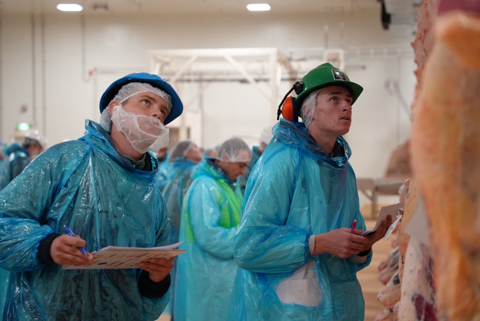Students assessing a carcasse