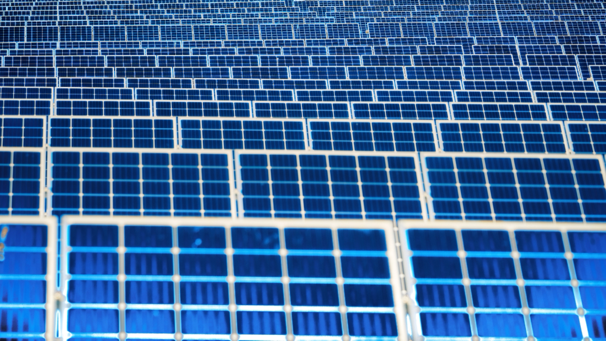stylised ranks of solar panels