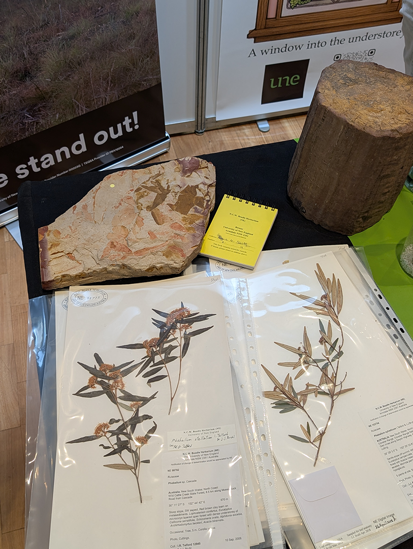 Specimens on display at Sydney Science Trail