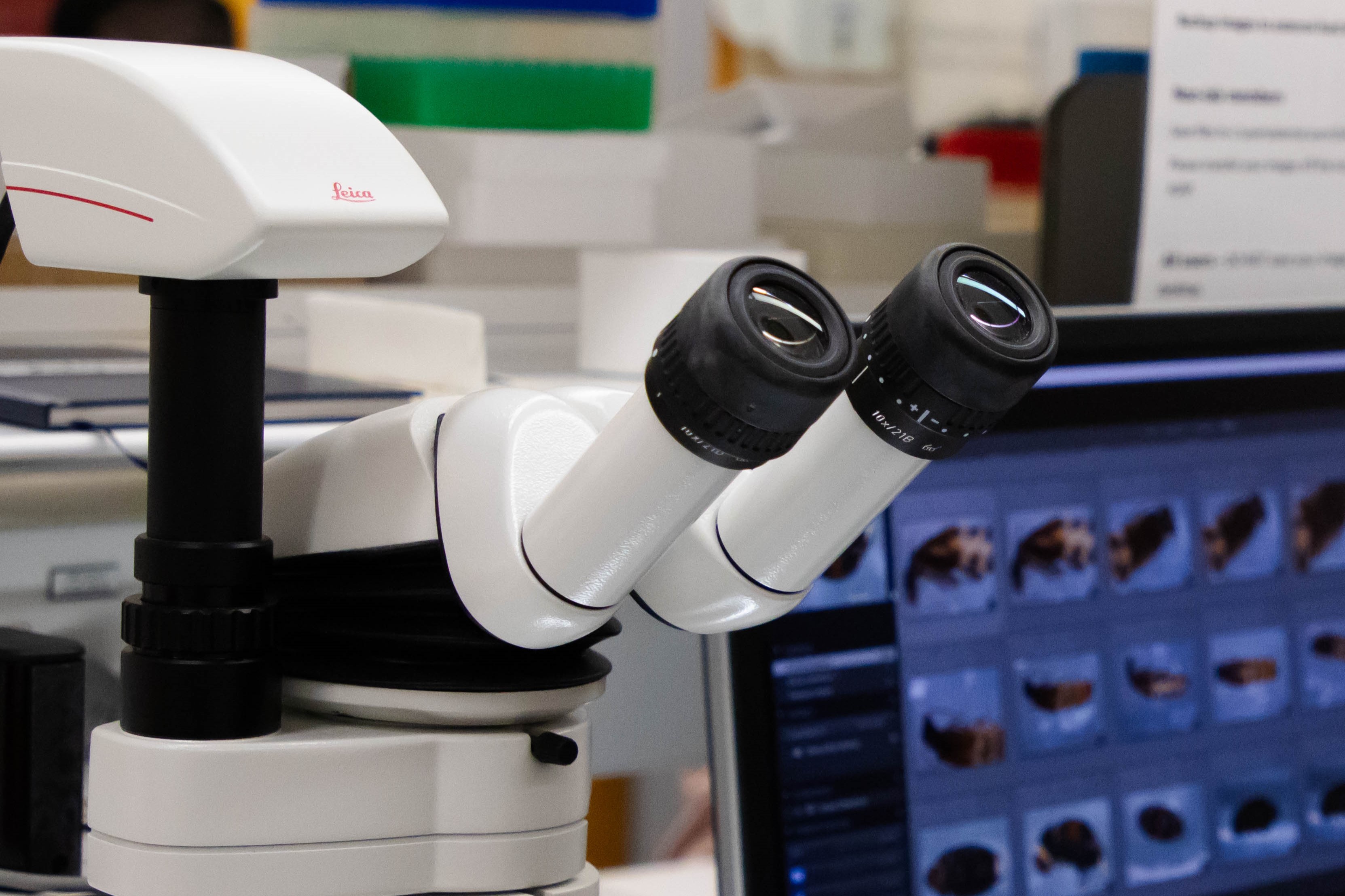 Microscope