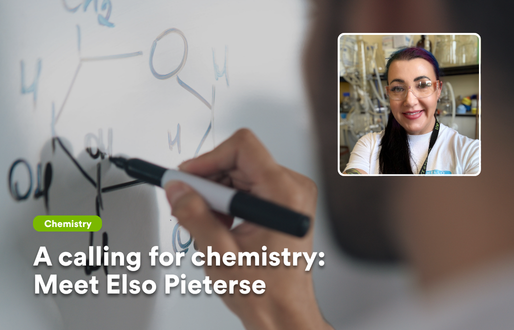 A calling for chemistry: Meet Elso Pieterse