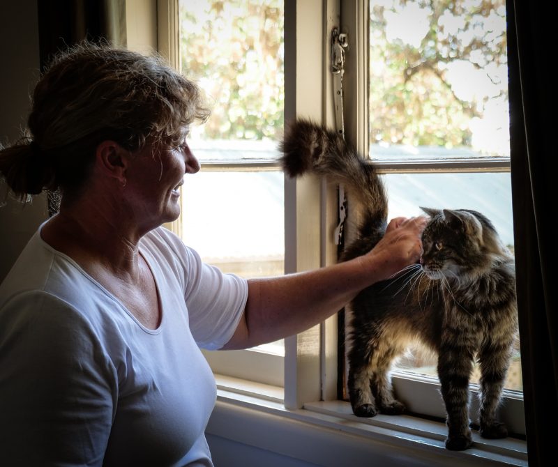 Dr McLeod petting her cat that is standing on a windowsill
