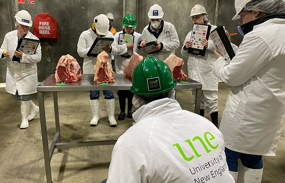 UNE meat judging team pictured assessing cuts of meat during the competition.