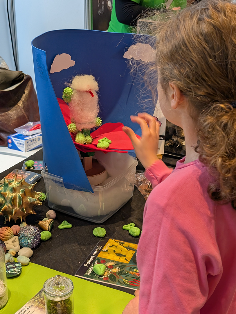 Person looking at UNE display
