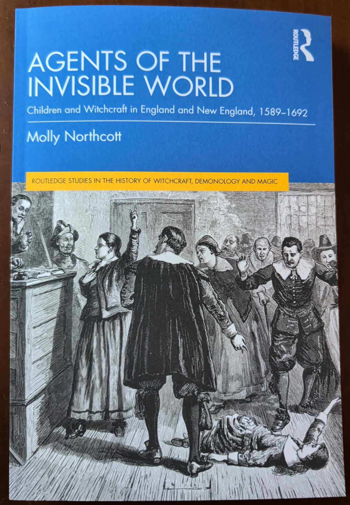 Cover artwork of Agents of the Invisible World by Dr Molly Northcott