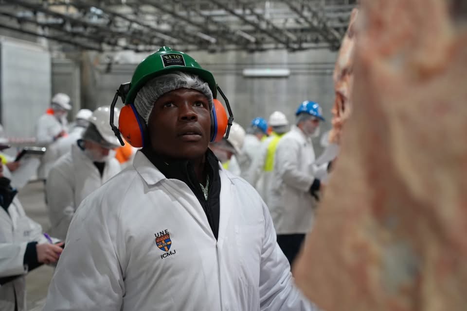 UNE student looking at a carcass