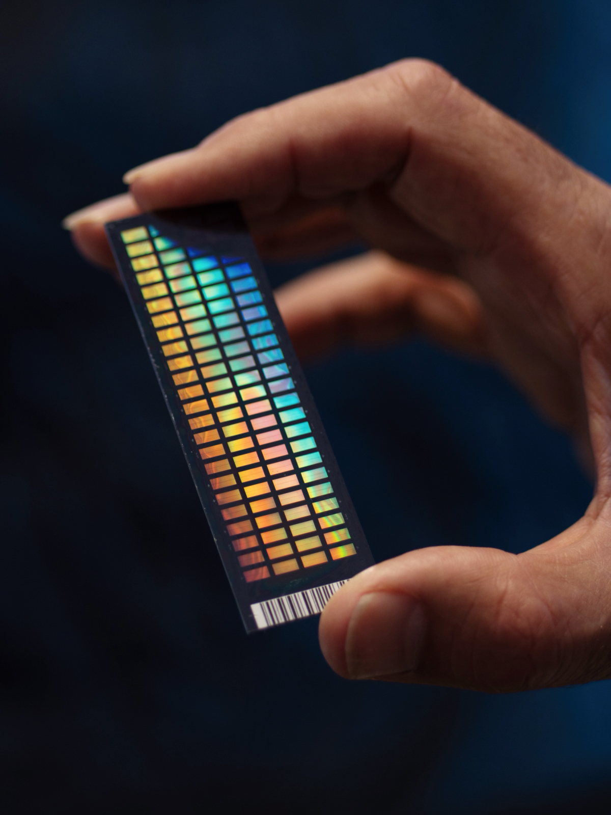Hand holding a DNA analysis chip, which reflects rainbow hues from the square silicon implants.