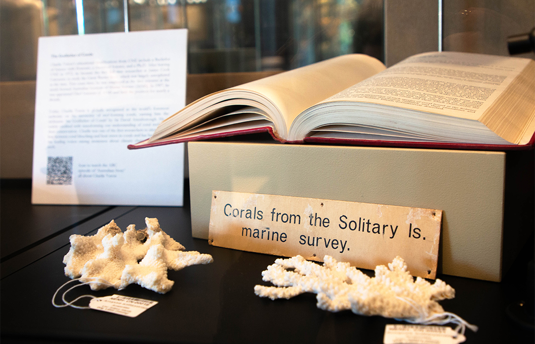 Image showing a piece of coral from Charlie Veron's survey of the Solitary Islands while studying Zoology at UNE in the 1960s. 