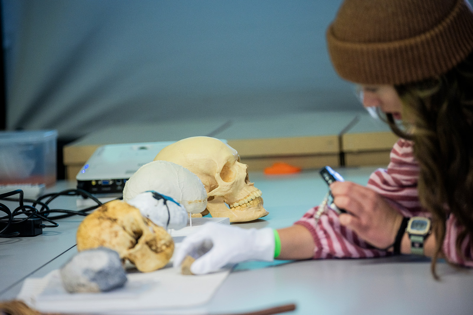 Student exploring hominid skulls at the Archaeology tour 