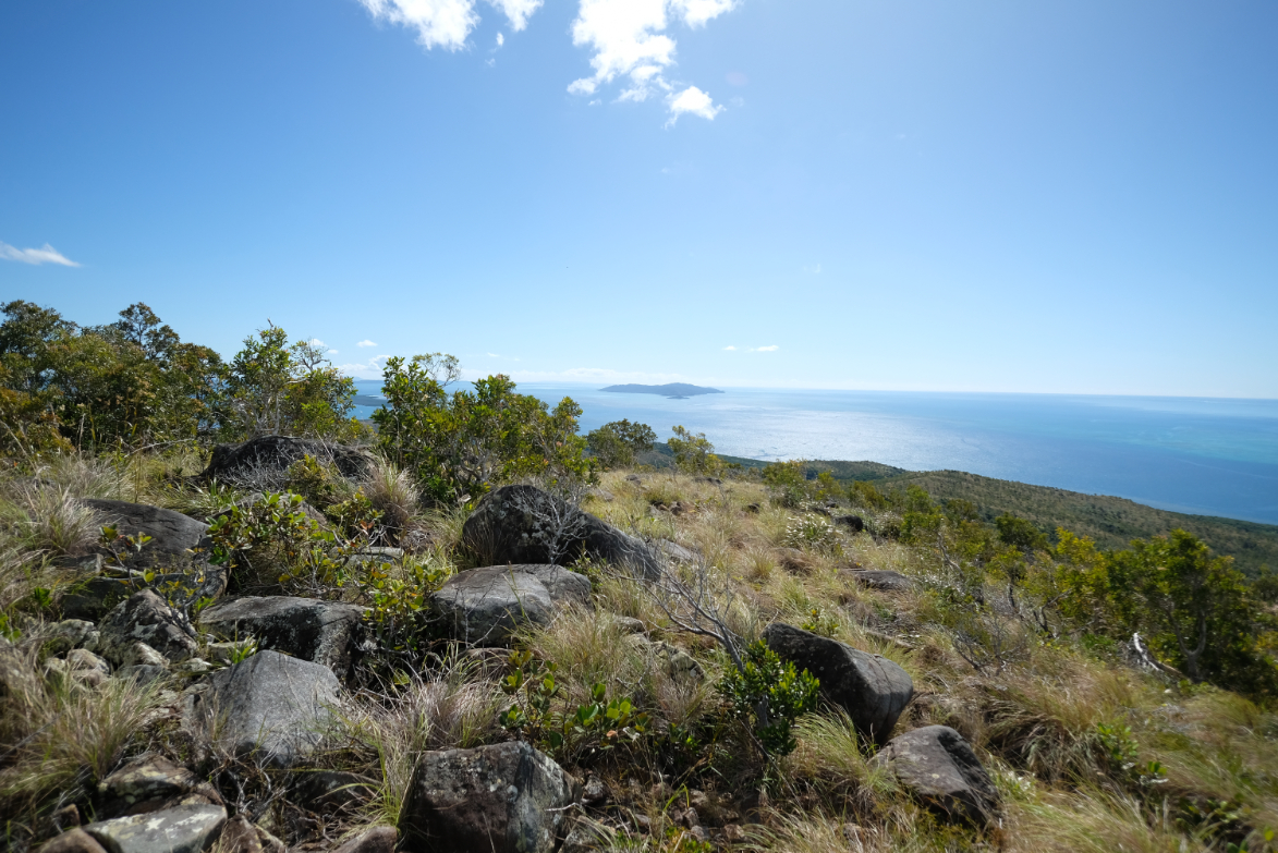 Some of the rocks from New Caledonia that were sampled.