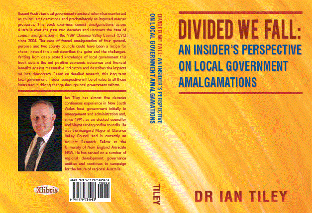 Divided We Fall Book Cover