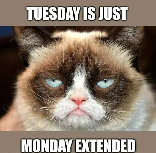 Grumpy Cat meme- Tuesday is just Monday extended