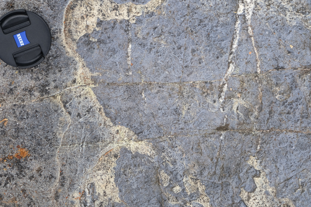 Close-up of a rock sampled from New Caledonia