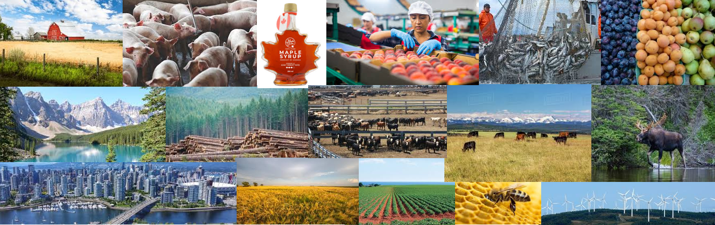 OSSE 2026 Canada Image