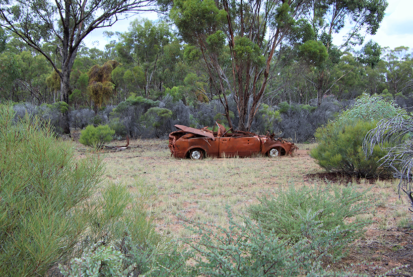 A burnt out car in a clearing surrounded by bushland 