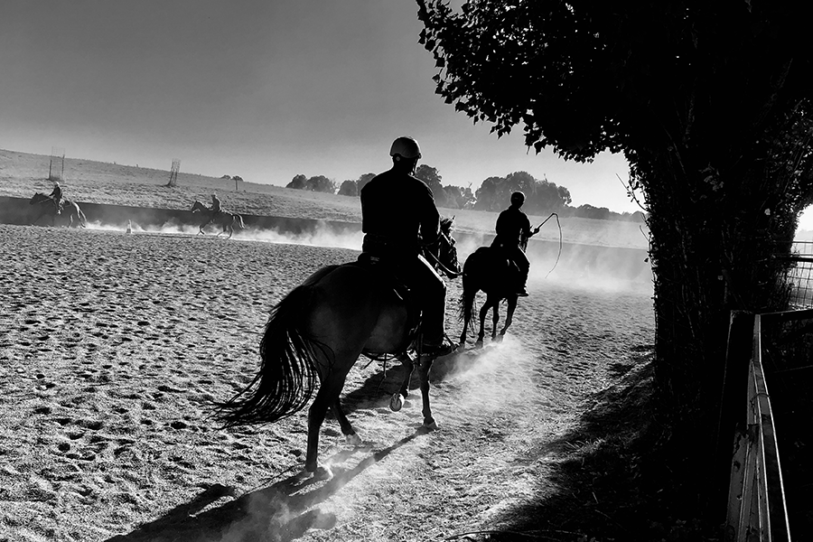 Black and white image of horse riders in a training arena 
