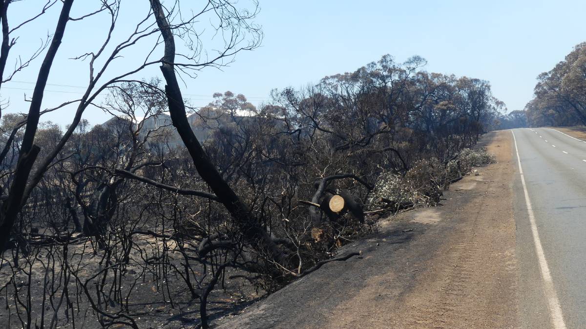 Almost 50% of Kangaroo Island has been burned by bushfires.