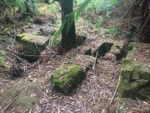 Archaeological site in the bush at Port Arthur.